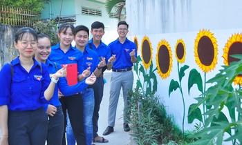 Bức tường hoa hướng dương dài 100m của các bạn trẻ Cần Thơ