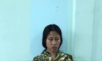 Khởi tố, bắt tạm giam mẹ ruột dùng gối đè chết 2 con