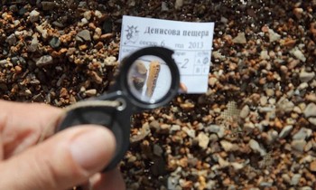 Tìm thấy hóa thạch lâu đời nhất của loài người bí ẩn được gọi là Denisovan.