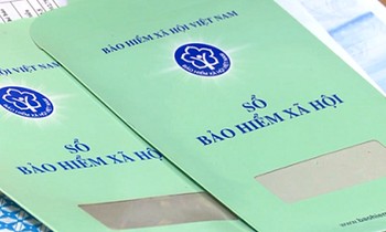 Đi học nước ngoài và sinh con có được hưởng chế độ thai sản?