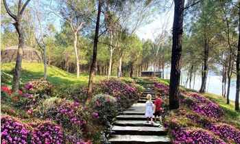 Phối cảnh lối đi bộ trên đồi Vọng Cảnh. Ảnh Thái Bường