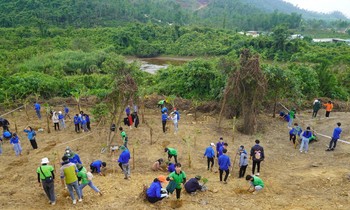 Danang students planting trees at the campus of Da Nang Center for Radiation Technology Research and Development - Photo by Duc Thao