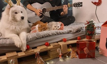 Chuyện sống tự lập cùng “boss” của chàng “ế” 9x gây bão mạng xã hội