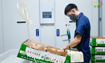 Masan MEATLife hoàn tất Giao Dịch góp vốn 613 tỷ đồng để sở hữu 51% Công ty 3F VIỆT
