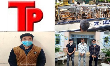 Bản tin Hình sự: Chém gục khách đến nhà chơi để cướp chiếc mô tô đẹp