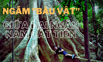Ngắm 'báu vật' giữa đại ngàn Nam Cát Tiên