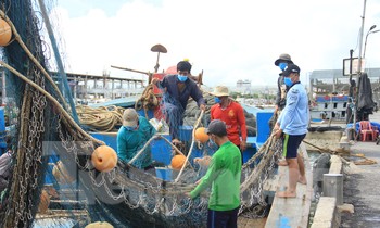 Tàu cá miền Trung rộn ràng chuẩn bị ra khơi