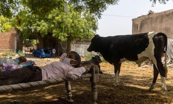 Roshan Lal, 48 tuổi, nằm nghỉ trong khu điều trị COVID-19 của một thầy lang vườn ở Mewla Gopalgarh. Ảnh: Reuters