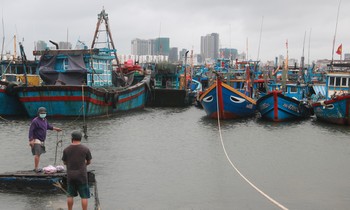 Người dân Đà Nẵng neo đậu tàu thuyền trú tránh bão số 6 hồi tháng 9/2021.