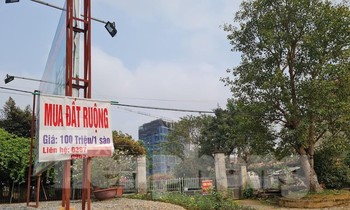 Bộ, ngành, địa phương chặn cơn 'sốt đất'
