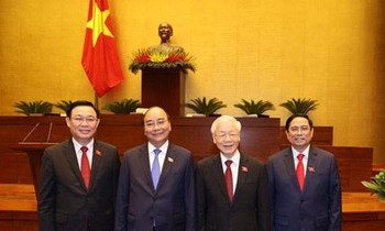 Nơi ứng cử của các Uỷ viên Bộ Chính trị, Ban Bí thư do Trung ương giới thiệu