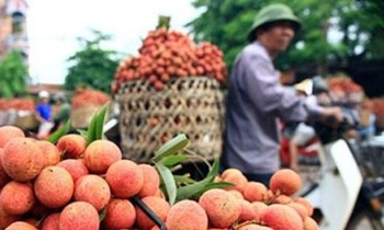 Lãnh đạo Bộ NN&PTNT cho biết, sẽ thành lập tổ liên ngành giải quyết những vấn đề phát sinh khi tiêu thụ nông sản