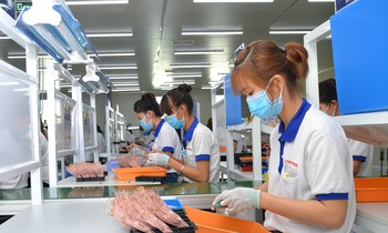 Trên 80% doanh nghiệp ở Đồng Nai đã hoạt động trở lại