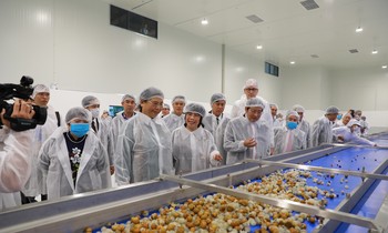 Chạy thử dây chuyền để sản xuất nước nhãn cô đặc