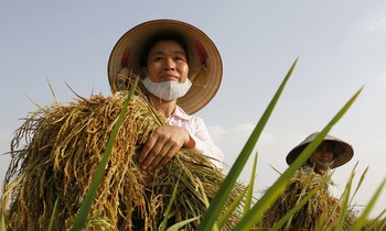 Nông dân được cho là đang chịu thiệt thòi