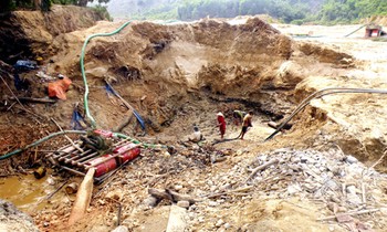 Kỳ bí nghề 'tăm' vàng