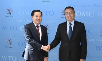 Phó Thủ tướng Lê Minh Khái và Phó Tổng giám đốc WTO Trương Hướng Thần. (Ảnh: BNG)