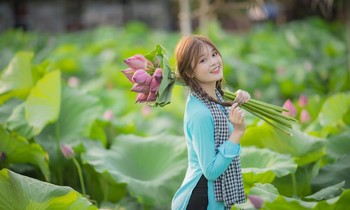 Sen hồ Tây nở rộ, thu hút người dân Hà Thành check-in, mặc nắng nóng