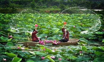 Muôn kiểu sắc màu hoa sen tại khuôn viên giảng đường rộng nhất Việt Nam
