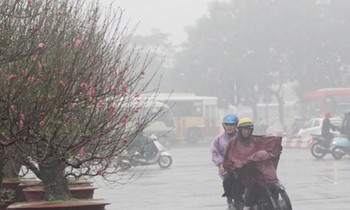 Ảnh hưởng không khí lạnh, miền Bắc rét đậm kèm mưa rào