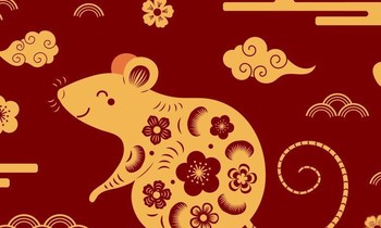 Tử vi tuổi Tý 2022: Bước vào hạn Tam Tai, cần hết sức cẩn trọng