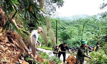 Các ngành chức năng, cán bộ chiến sỹ và nhân dân huyện Tràng Định phối hợp dọn dẹp cây cối, đất đá sạt lở xuống đường tuần tra biên giới -Ảnh: Đ.Q