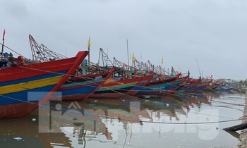 Sáng 14/10, bão số 8 vào vùng biển từ Nam Định đến Quảng Bình, gió giật cấp 10