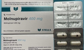 Nghệ An nghiêm cấm mua bán thuốc Molnupiravir điều trị COVID-19