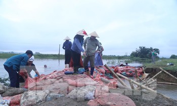 Hình ảnh người dân nỗ lực 'vá' đê bị vỡ ở Nghệ An