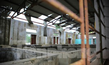 Trại nuôi giống hơn 8 tỷ đồng ở Hà Tĩnh hoang tàn, cỏ dại mọc tứ phía