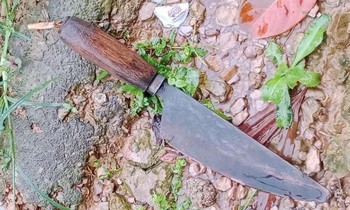 Truy bắt đối tượng lẩn trốn vào rừng sau khi giết người