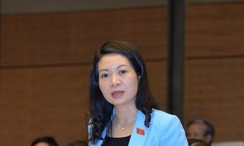 Đại biểu Mai Thị Phương Hoa, Uỷ viên Thường trực Uỷ ban Tư pháp
