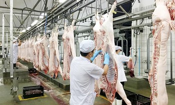 Giá lợn hơi giảm kỷ lục, Phó Thủ tướng yêu cầu làm rõ chi phí từng khâu