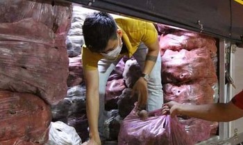 Giúp nông dân Vĩnh Long tiêu thụ khoai lang tím ùn ứ vì dịch COVID