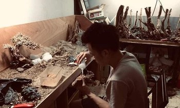 Chàng sinh viên 2K với mô hình trang trí bể tiểu cảnh độc đáo