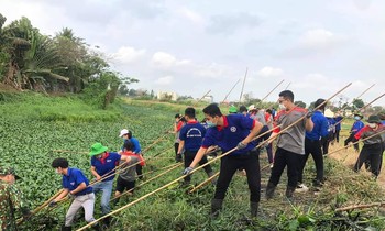Gần 1.000 sinh viên hưởng ứng chương trình “Ngày Chủ Nhật Xanh”