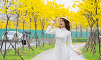 Đẹp nao lòng con đường ở Hà Đông ngập tràn sắc hoa vàng, đỏ