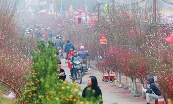 Chợ hoa Tết Hàng Lược tổ chức trong phố cổ Hà Nội