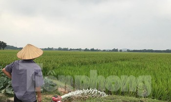Dự án trường đua ngựa ở Sóc Sơn giờ ra sao?