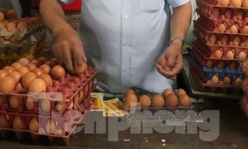 Trứng tăng giá cao gần gấp đôi