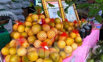 Chanh leo ngọt cả trăm nghìn đồng/kg vẫn 'cháy hàng'