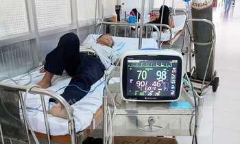 Vô tình chạm trúng tổ, đàn ong bay ra vây kín đầu, đốt hơn 20 mũi