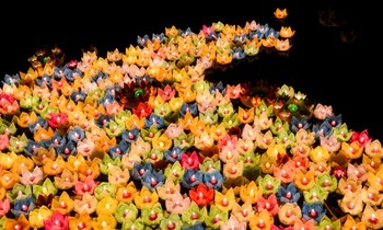 Tận thấy 2.000 hoa đăng cầu may mắn và bình an mùa lễ Phật đản