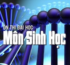 Ôn thi đại học môn Sinh: Đột biến gen