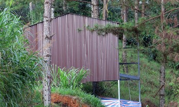 Cất nhà trái phép trong rừng ở Phường 4