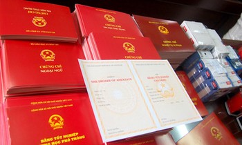 Ảnh minh họa. Nguồn: Internet