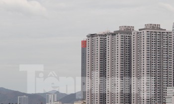 Toà nhà OC3 thuộc tổ hợp khách sạn, căn hộ cao cấp Oceanus bị đình chỉ hoạt động. Ảnh LỮ HỒ.
