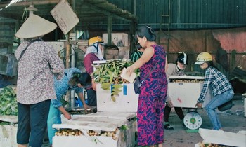 Buôn bán tấp nập tại chợ hoa quả xã Dương Liễu.