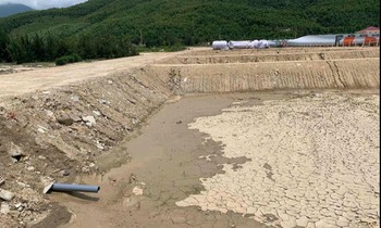 Doanh nghiệp đã di dời toàn bộ trang thiết bị xây dựng nhà máy bột cá đi nơi khác nhưng vẫn chưa trả lại mặt bằng nguyên trạng