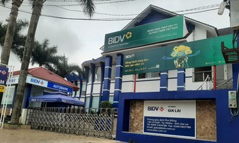 Bộ Công an điều tra dự án vi phạm đất đai tại Gia Lai